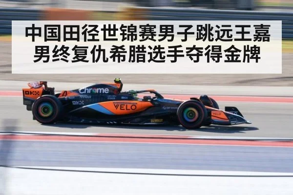 中国田径世锦赛男子跳远王嘉男终复仇希腊选手夺得金牌